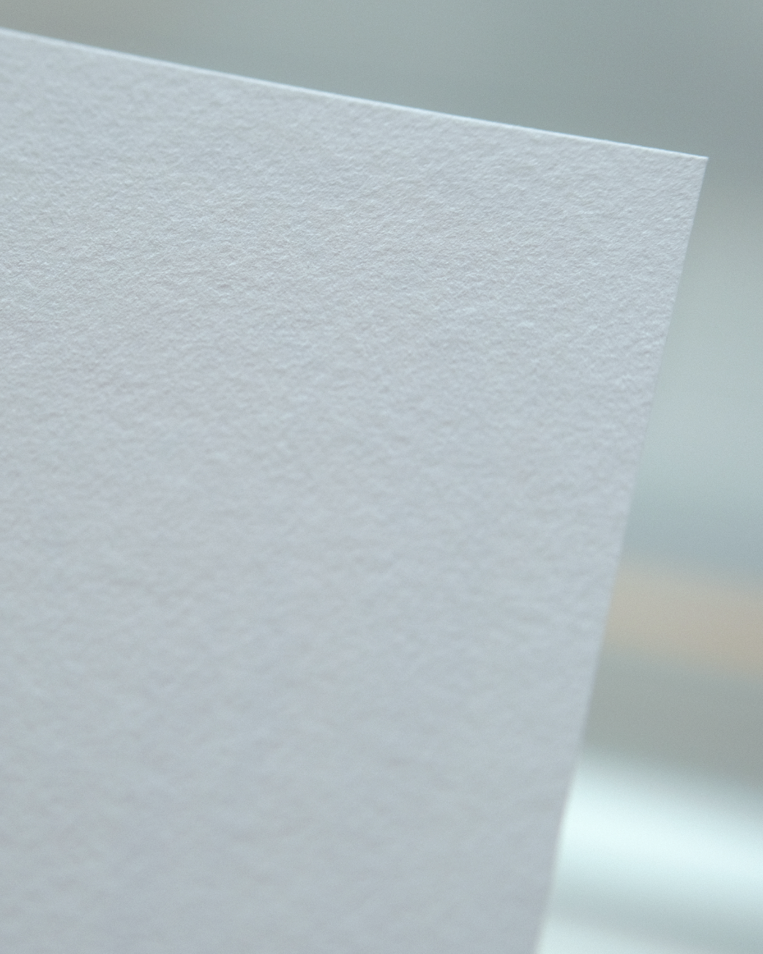 Cats On Gotland | A5 Print