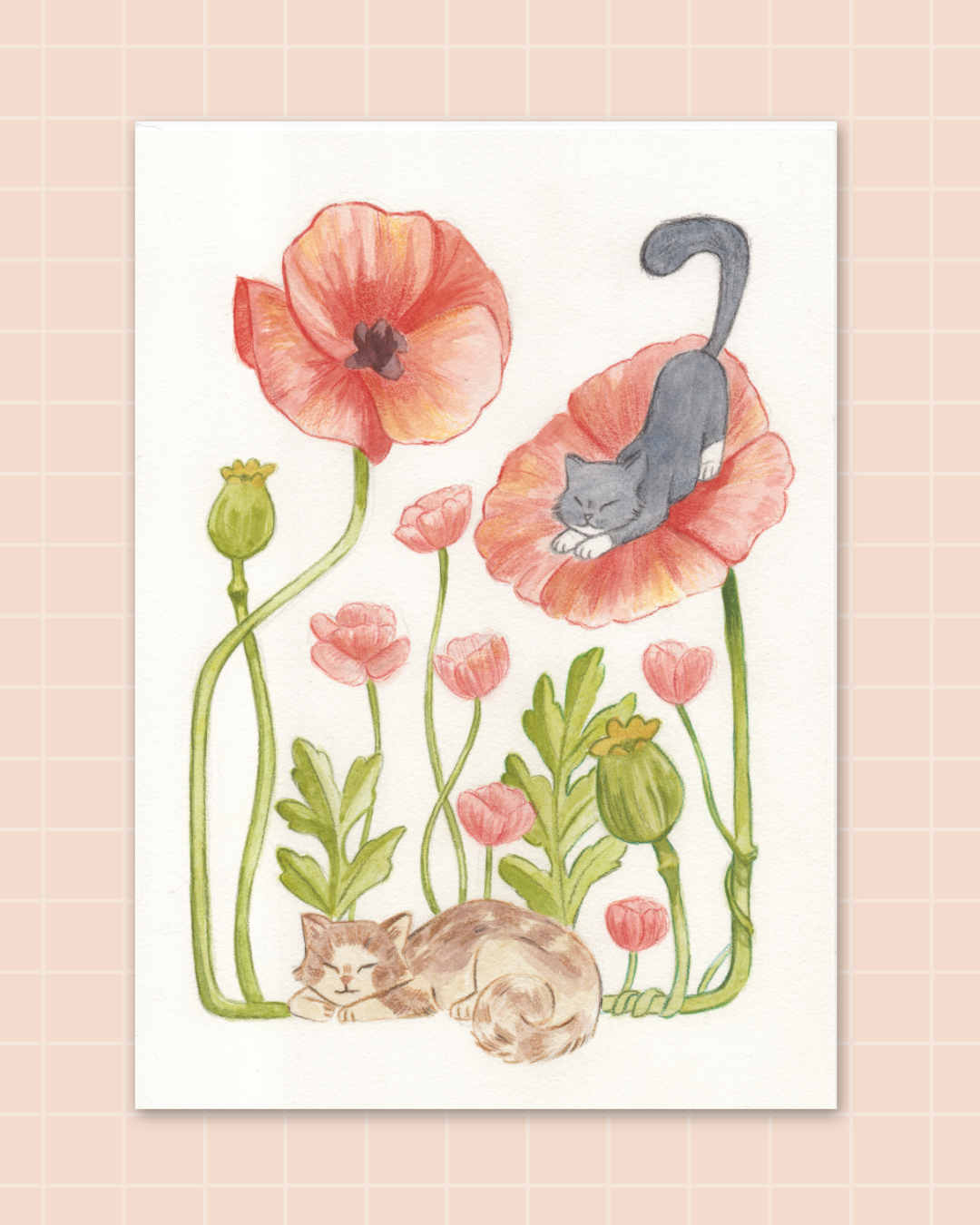 Cats in Poppies | A5 Print