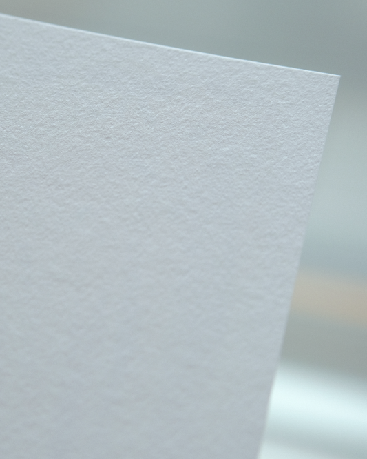 Cats in Poppies | A5 Print